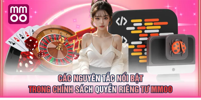 Các nguyên tắc nổi bật trong chính sách quyền riêng tư MMOO